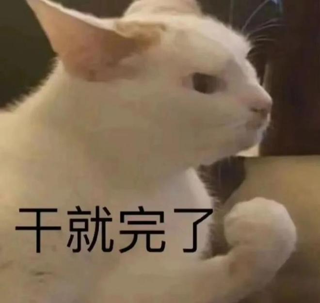 Q1D6oNXZxw02N5zR.jpg