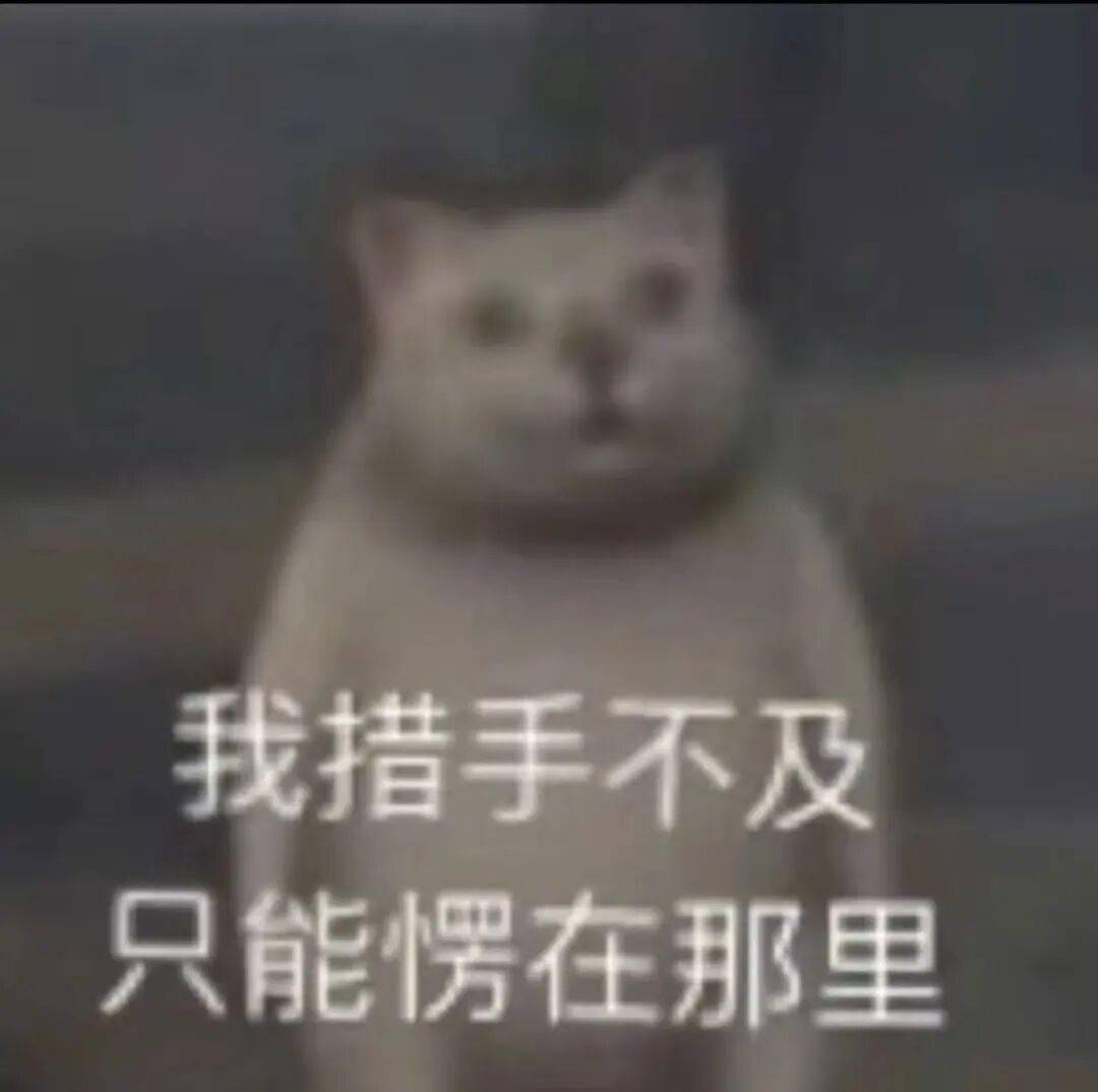 uW5466Rwrh48ERBf.jpg
