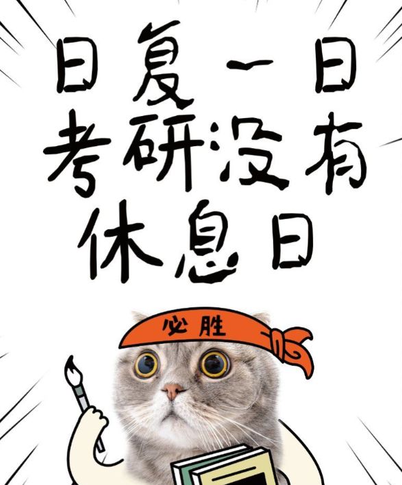 X1SzPtHTf1PPSTI9.jpg