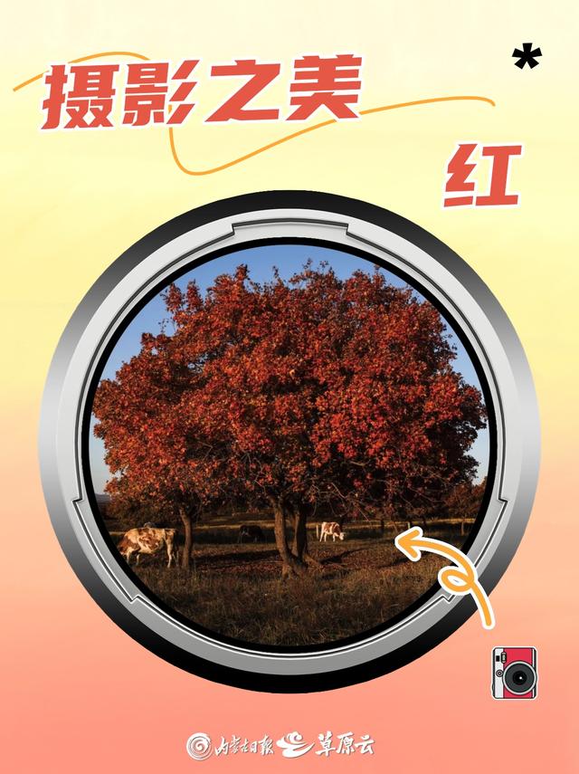 e42jWXE2vx5S9sPe.jpg
