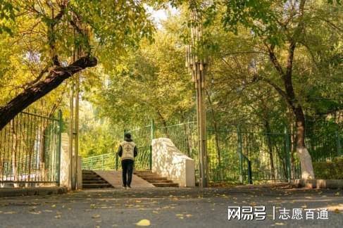 Ai39Fy8F3fzSFFCS.jpg