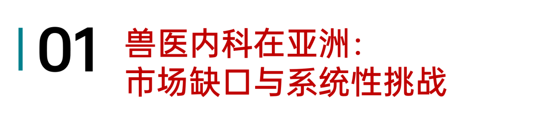 tsHF0jW37H2B2420.jpg