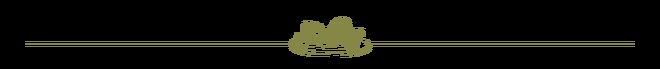 Pnl6059L0VLLCFVT.jpg
