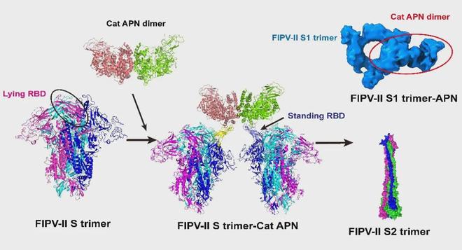fe61PP6e6j66we07.jpg