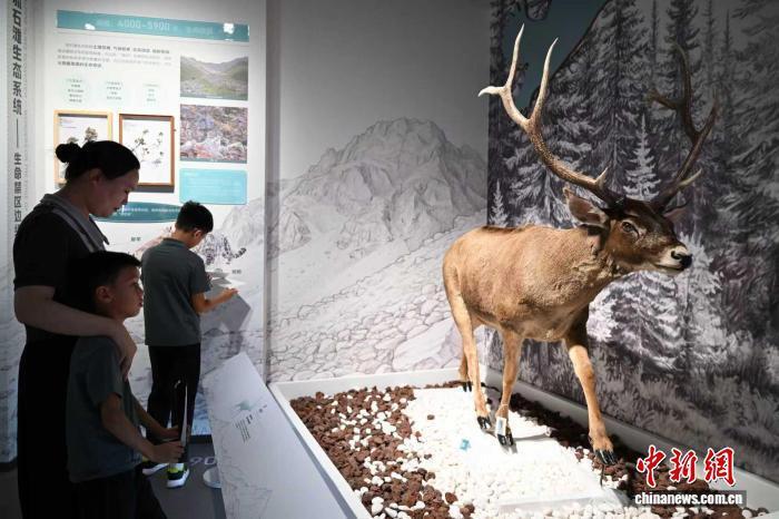 skaA7KlztHMHupg6.jpg