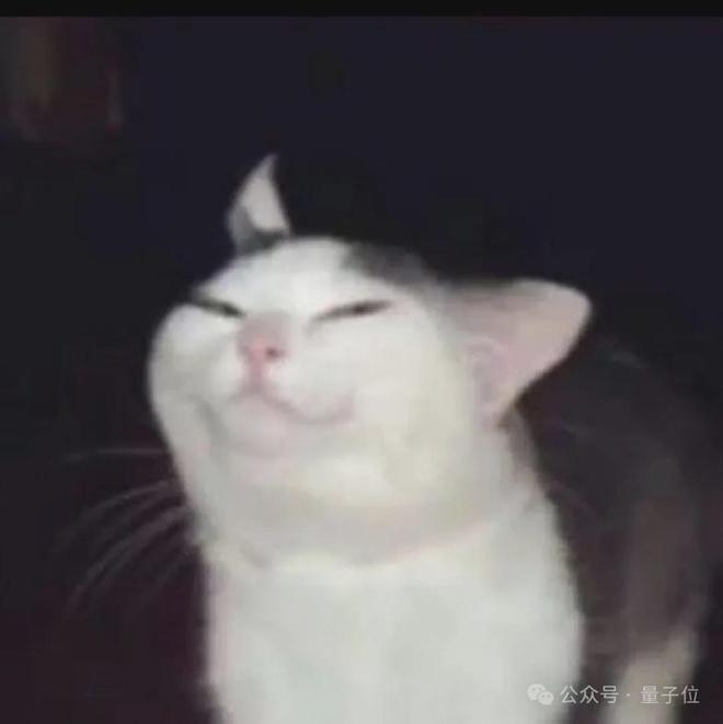 xyCWYh19X9STuUsu.jpg